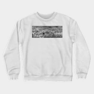 Barbed wire, in B&W Crewneck Sweatshirt